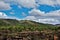 Heber Overgaard, Navajo County, Sitgreaves National Forest, Arizona, United States