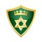 Hebrew Jewish Star of magen david shield vector
