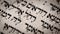Hebrew name Rachel in Torah page. Favorite wife of the Biblical patriarch Jacob. Mother of Joseph and Benjamin. Closeup