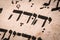 Hebrew word in Torah page. English translation is name Judah, the founder of the Israelite Tribe of Judah