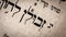 Hebrew word in Torah page. English translation is name Zebulun , the founder of the Israelite Tribe of Zebulun