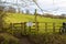 Heddon on the Wall, Northumberland England: Feb 2022: A warning sign on farmland Cows With Calves in Field