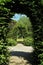 Hedge arch in summer