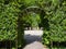 Hedge arches in a garden park. Landscaping
