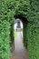 Hedge keyhole arch pathway gate