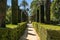 Hedge Lined Path in the Royal AlcÃ¡zar of Seville