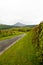 Hedge lined road with goatfell