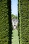 Through the hedge at Packwood House