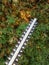 Hedge trimmer blades trimming thuja fence