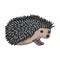 Hedgehog.Animals single icon in cartoon style rater,bitmap symbol stock illustration web.