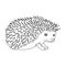 Hedgehog.Animals single icon in outline style vector symbol stock illustration web.