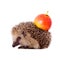 Hedgehog with apple on her back isolated