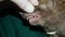 Hedgehog. Exotic veterinarian examines a hedgehog mouth, dentistry, teeth. wildlife vet holding an European animals. wild animals