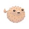 Hedgehog fish. Funny cartoon illustration of blowfish character. Children's illustration, hand drawn.