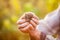 A hedgehog in the hands of a manâ€™s fear, grandfather holds in his hands a little hedgehog on a green background