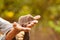 A hedgehog in the hands of a manâ€™s fear, grandfather holds in his hands a little hedgehog on a green background