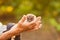 A hedgehog in the hands of a manâ€™s fear, grandfather holds in his hands a little hedgehog on a green background