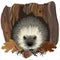 Hedgehog_in_hole