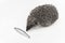 Hedgehog prickly animal of wild nature mammal eats fish on a white background