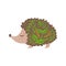 Hedgehog Relaxed Cartoon Wild Animal With Closed Eyes Decorated With Boho Hipster Style Floral Motives And Patterns
