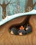 Hedgehog Sleeping in a Den or Burrow Underground