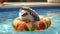 hedgehog summer inside inflatable swimming pool ring with sunglasses. generative ai