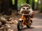 Hedgehog on tiny bike cycling photo