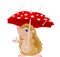 Hedgehog under umbrella presenting