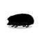 Hedgehog wildlife black silhouette animal