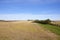 Hedgerow and farmland