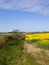 Hedgerow and oilseed