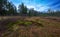 Heidenreichsteiner Moor - the marshland in Austria (peat bog, peatbog)