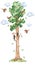 Height meter watercolor fairytale tree with birds, insects, clouds