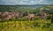 In the heights of Andlau in Alsace