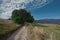 The heights of the Vosges mountains in France