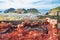 Heimaey Town Aerial View from Eldfell Volcano, Iceland, Westman Islands