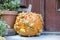 Heirloom Pumpkin