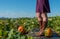 Heirloom Pumpkin and Woman with Copy Space