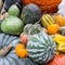 Heirloom squash on display 8