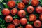 Heirloom tomatoes with green parsley for making vegetable salad. Juicy vegetables on dark background. Harvesting and food vitamins