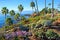 Heisler Park landscaped gardens, Laguna Beach, California.