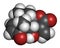 Helenalin sesquiterpene lactone molecule. Toxin found in Arnica montana. 3D rendering. Atoms are represented as spheres with