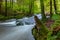 Helenenweg path near Mondsee, Austria