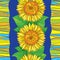 helianthus striped pictures