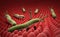 Helicobacter pylori on the surface of the stomach 3d render on w