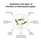 Helicobacter pylori. Symptoms of infection. Infographics. Vector illustration