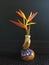 Heliconia psittacorum in unique pottery