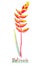 Heliconia rostrata hanging lobster claw, false bird of paradise isolated on white hand painted watercolor illustration