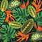 Heliconia and strelizia flowers vector illustration. Tropical orange plants background.