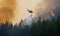 The helicopter drops water to fight forest fires Creating using generative AI tools